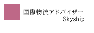 国際物流アドバイザーSkyship